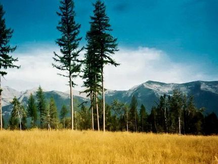 Property in Powell County, Montana