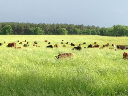 Property in Wilkes County, Georgia