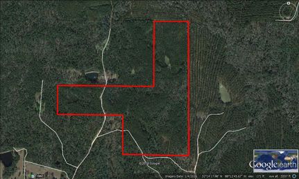 Property in Washington County, Alabama