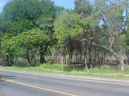 Property in Johnson County, Texas