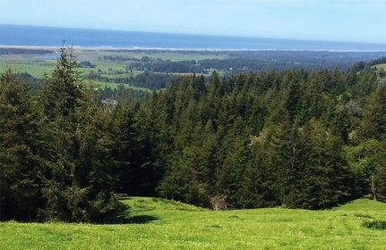 Property in Curry County, Oregon