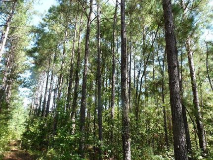 Property in Florence County, South Carolina