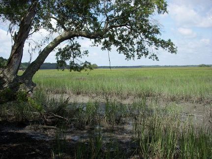 Property in McIntosh County, Georgia