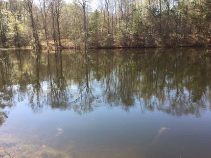 Property in Dale County, Alabama