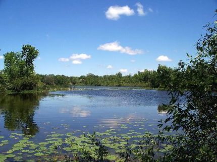 Property in Berrien County, Michigan