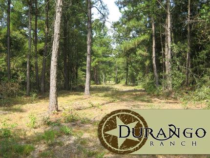 Property in Grimes County, Texas