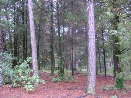Property in Camp County, Texas