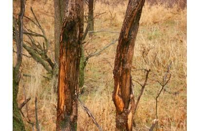 Property in Pawnee County, Kansas