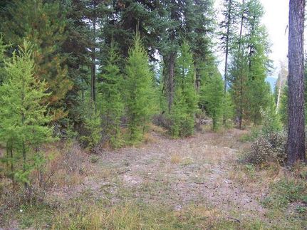 Property in Flathead County, Montana