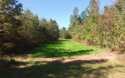 Property in Hancock County, Georgia