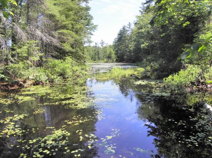 Property in York County, Maine