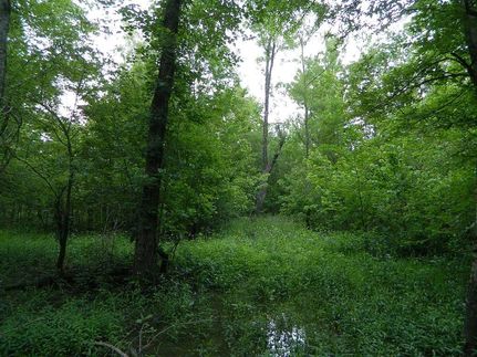 Property in Red River County, Texas