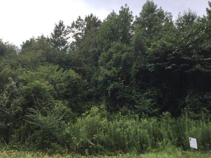 Property in Lee County, Alabama