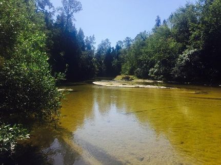 Property in Baldwin County, Alabama