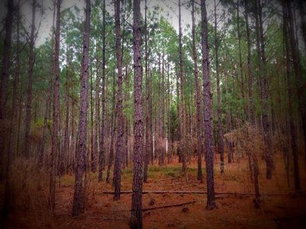 Property in Fairfield County, South Carolina