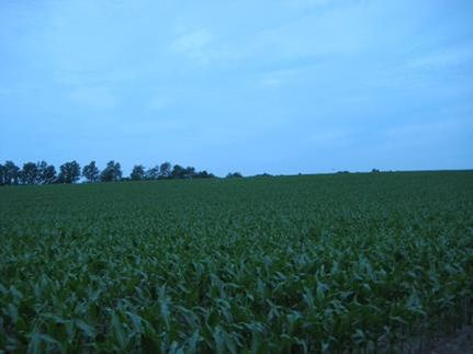 Property in Lenawee County, Michigan