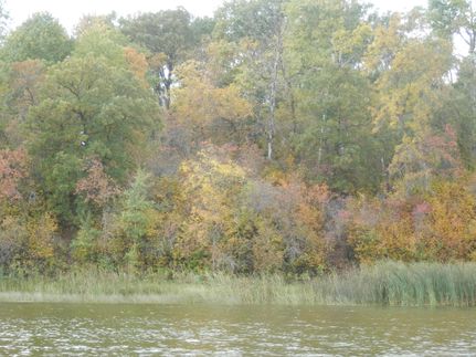 Property in Bottineau County, North Dakota