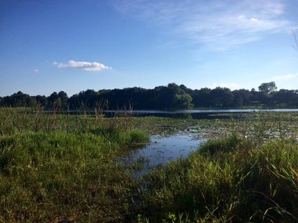 Property in Burleson County, Texas