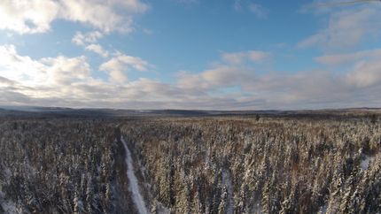 Property in Aroostook County, Maine