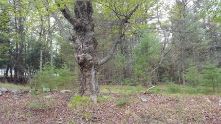 Property in Sullivan County, New York