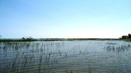 Property in Huron County, Michigan