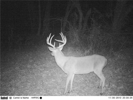 Property in Rains County, Texas