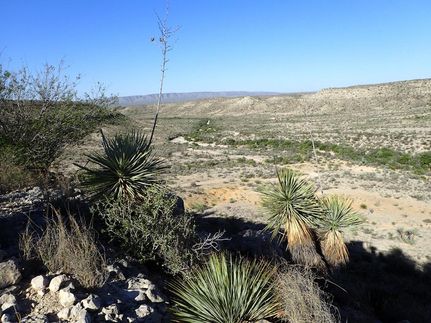 Property in Terrell County, Texas