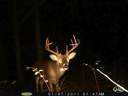 Property in Henry County, Kentucky