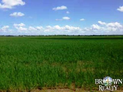 Property in Allen Parish, Louisiana