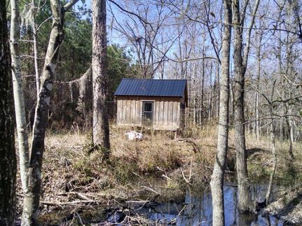 Property in Marion County, South Carolina