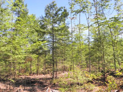 Property in Sullivan County, New Hampshire