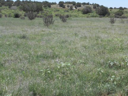 Property in San Miguel County, New Mexico