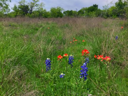 Property in McLennan County, Texas