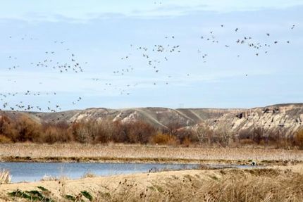 Property in Payette County, Idaho