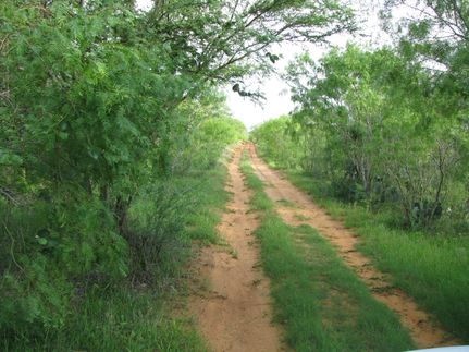 Property in Wilson County, Texas