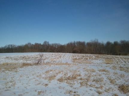 Property in Hamilton County, Indiana