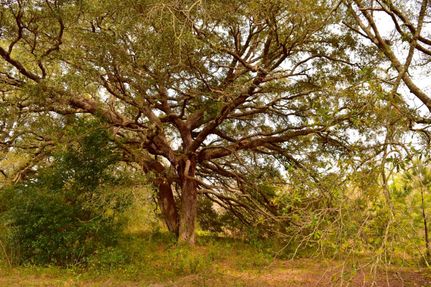 Property in Baldwin County, Alabama