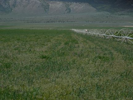 Property in Millard County, Utah