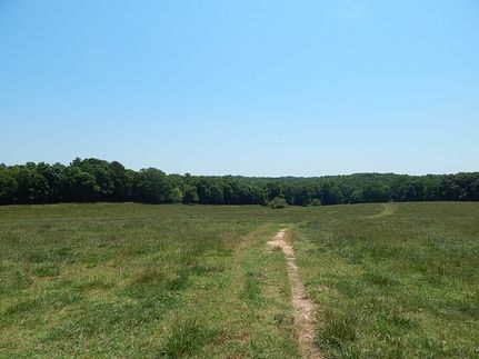 Property in Elbert County, Georgia