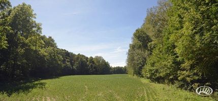 Property in Madison County, Illinois