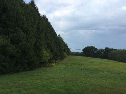 Property in Allegheny County, Pennsylvania