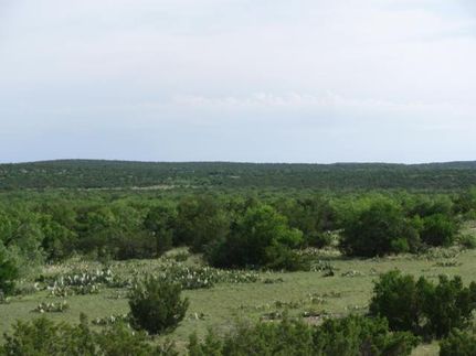 Property in Irion County, Texas