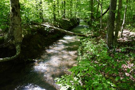 Property in Roane County, Tennessee