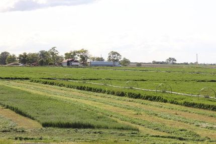 Property in Twin Falls County, Idaho