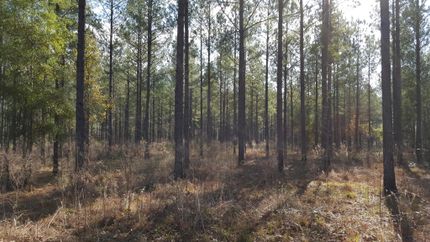 Property in Terrell County, Georgia