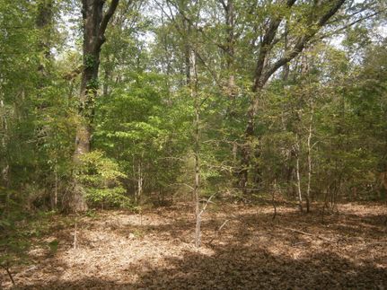 Property in Lee County, Mississippi