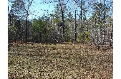 Property in Coosa County, Alabama