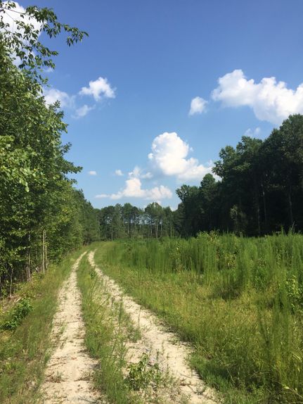 Property in Hertford County, North Carolina