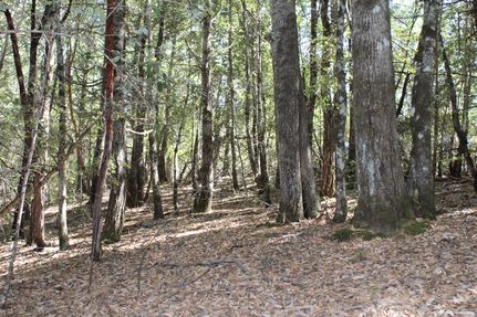 Property in Mendocino County, California