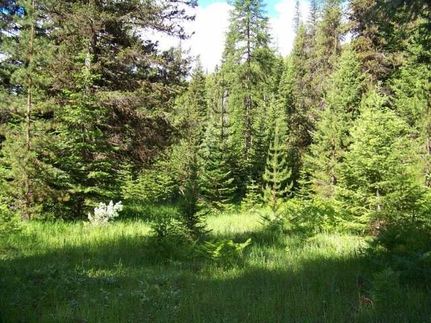 Property in Mineral County, Montana